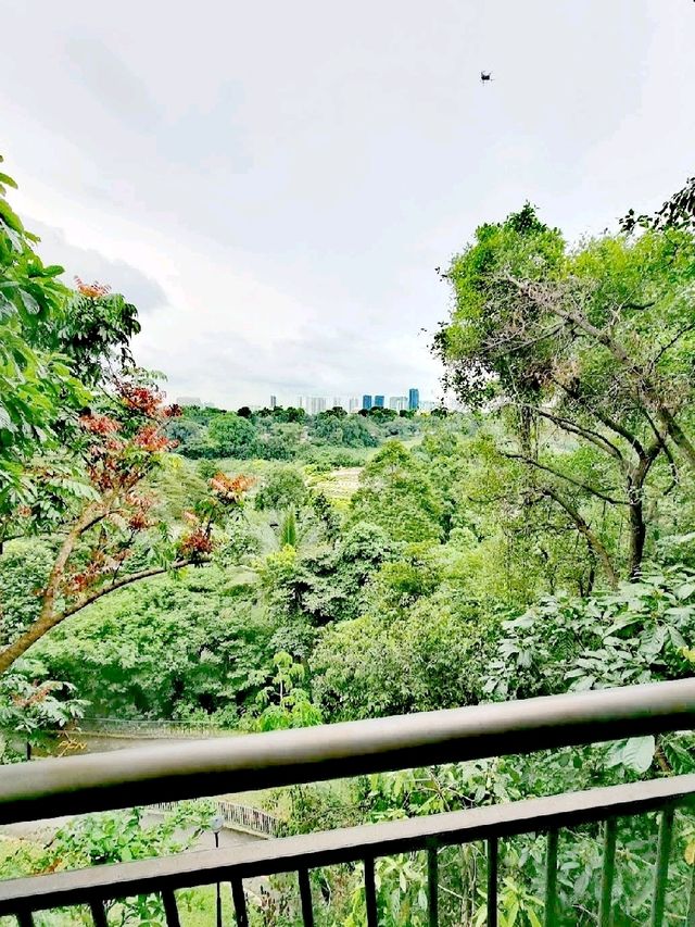 肯特崗公園