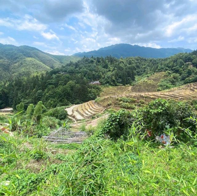 漳州田螺坑土樓群
