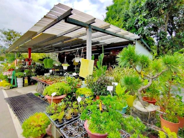 花開了休閒農場