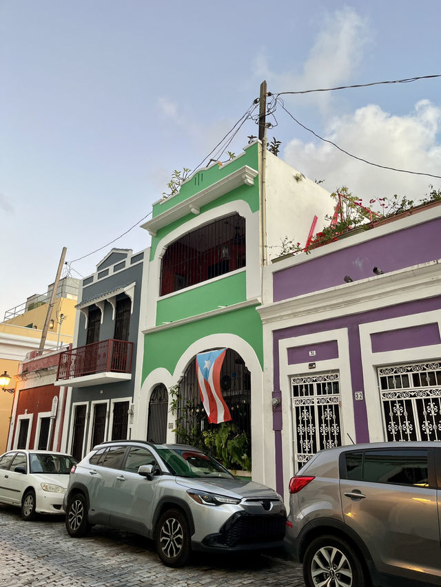 Tropical Dreamscape🌴