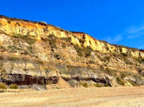 เส้นทางเดินเลียบชายทะเลธรรมชาติ 🌱