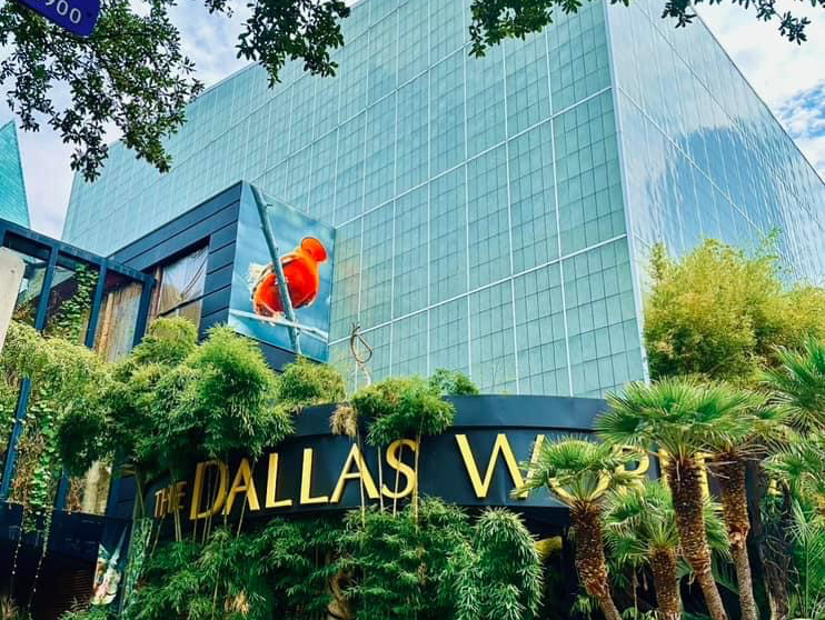 Visit Dallas: 2024 Travel Guide for Dallas, Texas