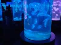 Manila Ocean Park 🐟