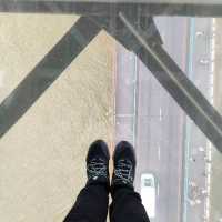 Fantastic view from the glass walkway in Tower Bridge