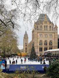 Gliding on Ice: London's Magical Ice Rinks ⛸️