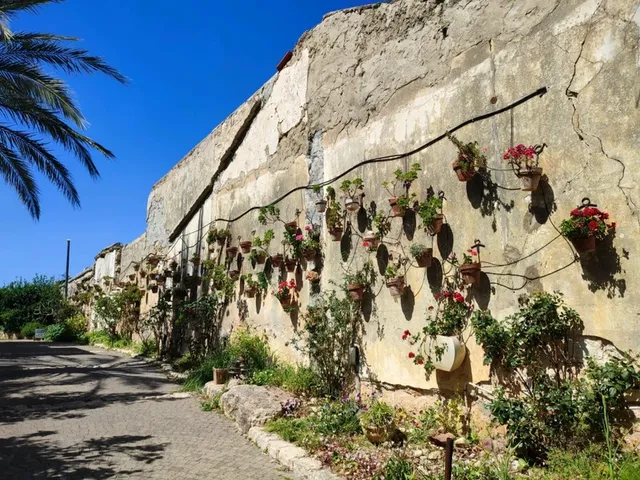 Zichron Ya’akov a little gem in Israel 🇮🇱