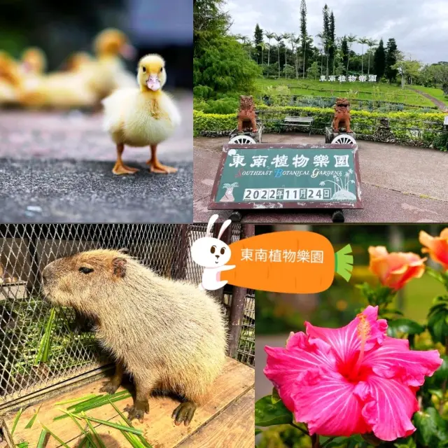 🐤東南植物樂園🦫日本最大的戶外植物園之一🌺