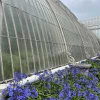 London ｜ Must visit royal garden in London