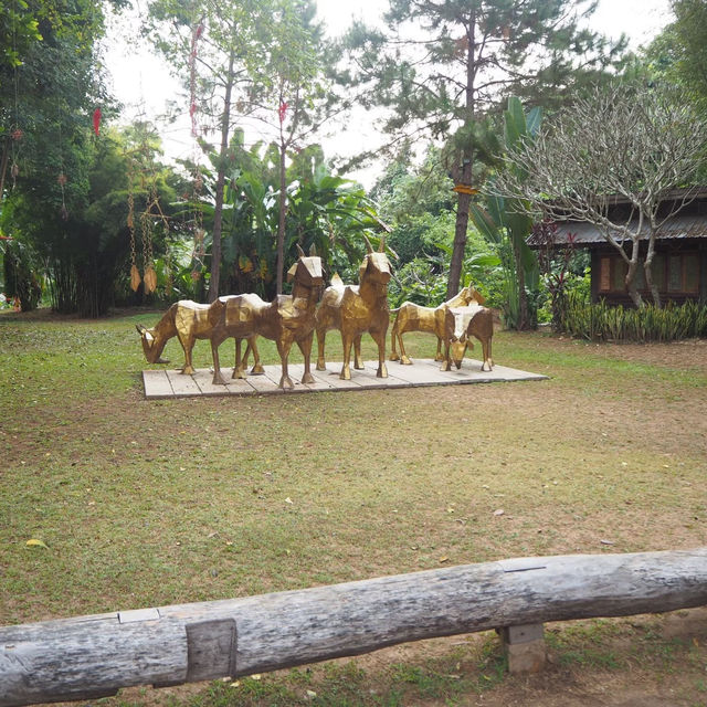 กระซิบรักเมืองน่าน