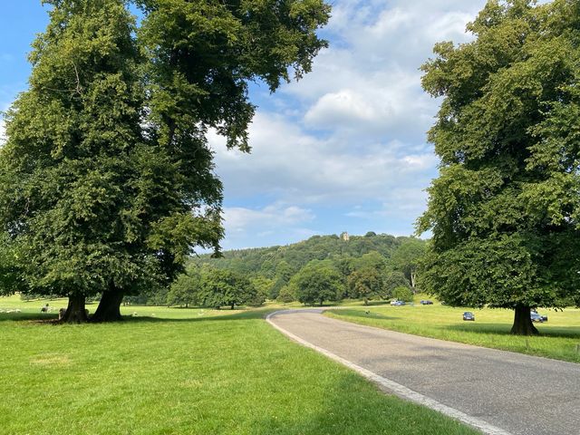 Chatsworth House: A Day with the Sheep 🐑🏰