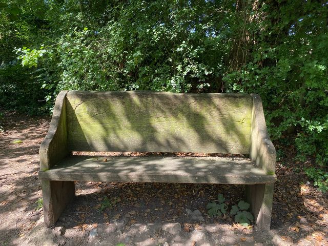Serene Day at Lullingstone Country Park 🌳🌼