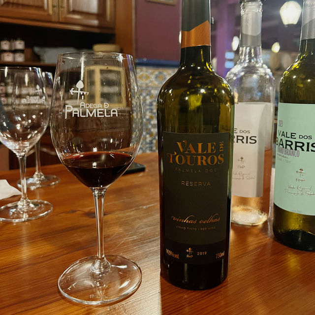【🇵🇹葡萄牙旅行】Setúbal開心暢玩品酒遊