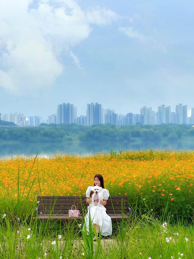 남양주 한강공원 삼패지구