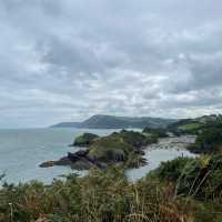 The perfect cove 