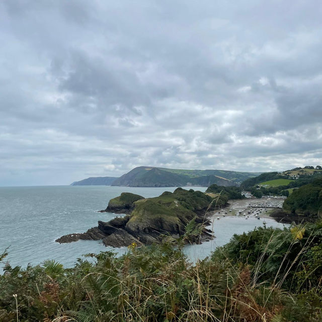 The perfect cove 