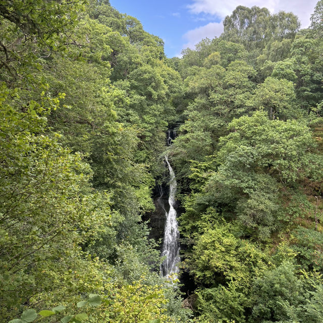 Scotland’s natural beauty 🏴󠁧󠁢󠁳󠁣󠁴󠁿🌳🐮