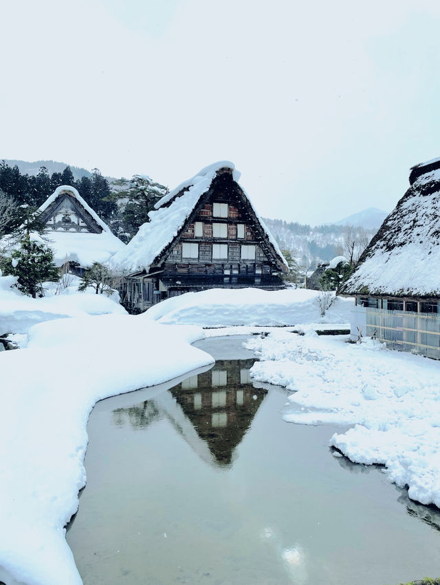 【白川郷】雪景色に包まれる幻想的な白川郷で、心癒される旅を！❄️🗻