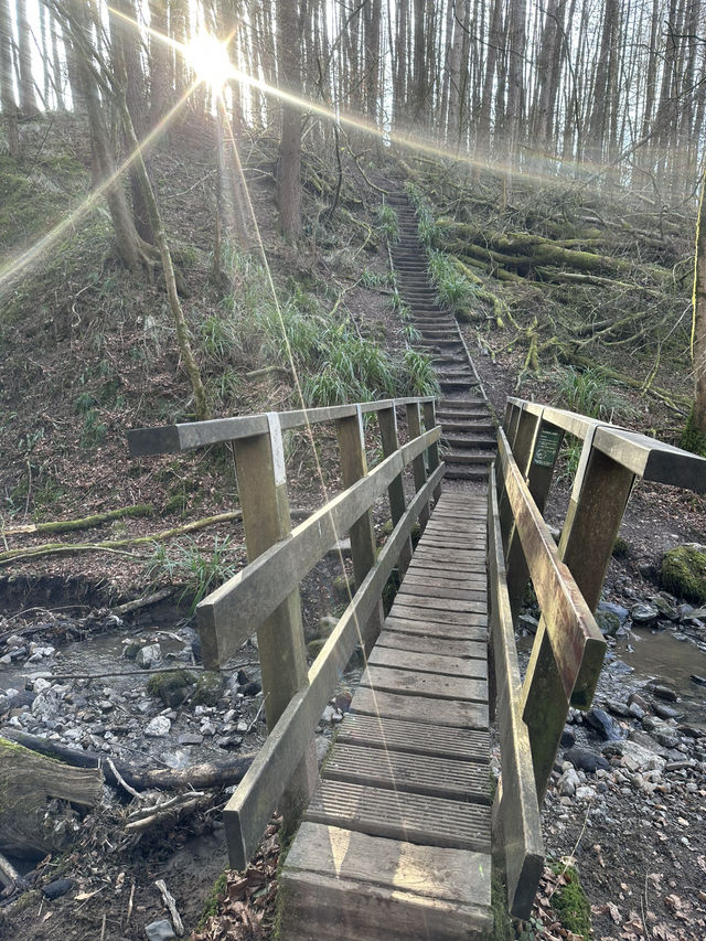 In search of Hobbits 