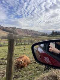 BEYOND PENRITH: Highland Cows, Waterfalls, Wild Views!