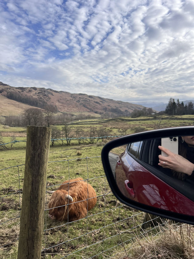 BEYOND PENRITH: Highland Cows, Waterfalls, Wild Views!