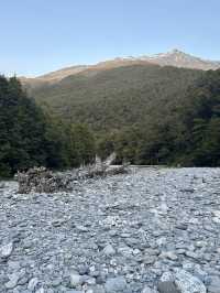 🚗💦 Wanaka to Haast: A Scenic Drive Through Lakes & Waterfalls