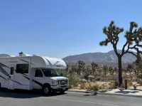Joshua Tree National Park: A Desert Adventure Wonderland 🌵🎢