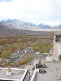 Spituk Monastery: A Spiritual Retreat Near Leh
