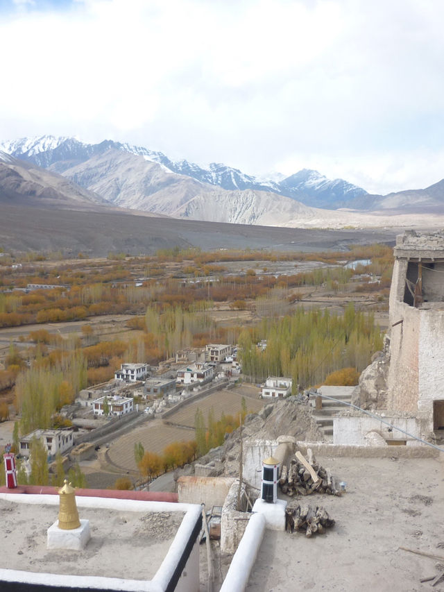 Spituk Monastery: A Spiritual Retreat Near Leh