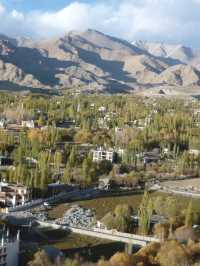 Namgyal Tsemo: The Ancient Fortress on Tsemo Hill