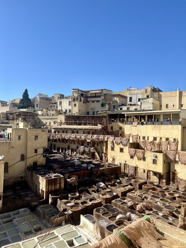 Fez and Flavors: A Cultural Feast in the Heart of Morocco