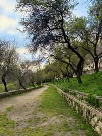 Art, Gardens, and the Segovia Countryside