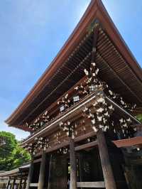 Meiji Jingu: Serenity in the Heart of Tokyo