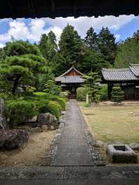 Osaka, Kyoto, Nara, itinerary plan for 3 days
