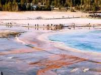 🌟 Top Landmarks to See in Yellowstone National Park 🚗💨