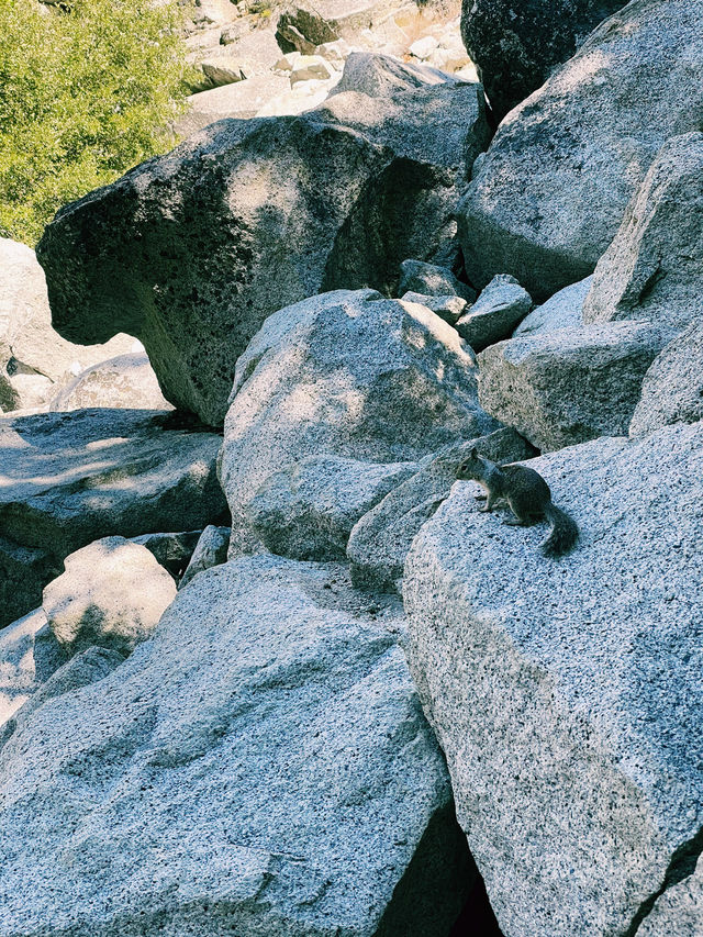 🌄 Top Landmarks in Yosemite National Park You Can’t Miss 🏔️