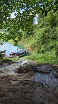 Jungle Trekking in Khao Sok – Guided or Solo? Here’s What You Need to Know 🥾🌴
