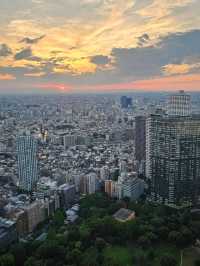 ✨ Best Spots for Tokyo Skyline Views: Free and Paid Options