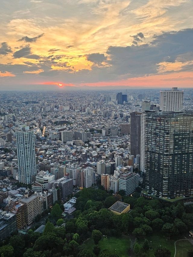 ✨ Best Spots for Tokyo Skyline Views: Free and Paid Options