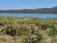Zimbabwe - a perfect blend of family, culture, and nature.”