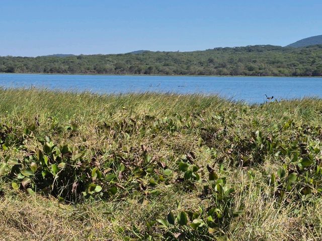 Zimbabwe - a perfect blend of family, culture, and nature.”
