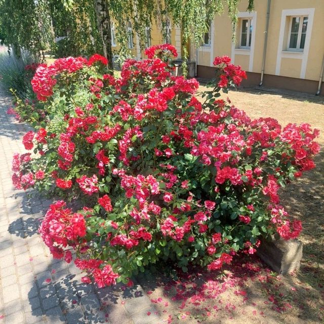 Charming Fonyód