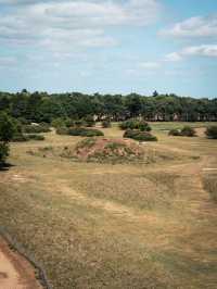 🛡️ A Day at Sutton Hoo – Walking in the Footsteps of Anglo-Saxon Royalty