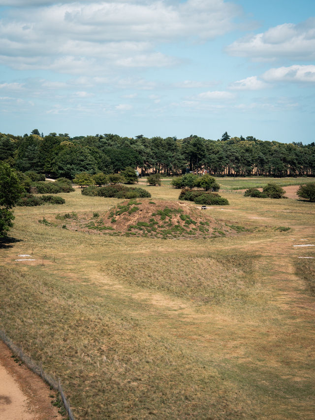 🛡️ A Day at Sutton Hoo – Walking in the Footsteps of Anglo-Saxon Royalty