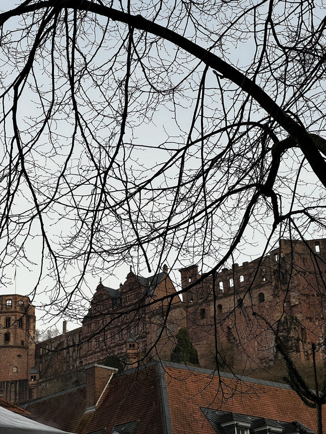 Wandering through Heidelberg feels like stepping into a storybook 🏰