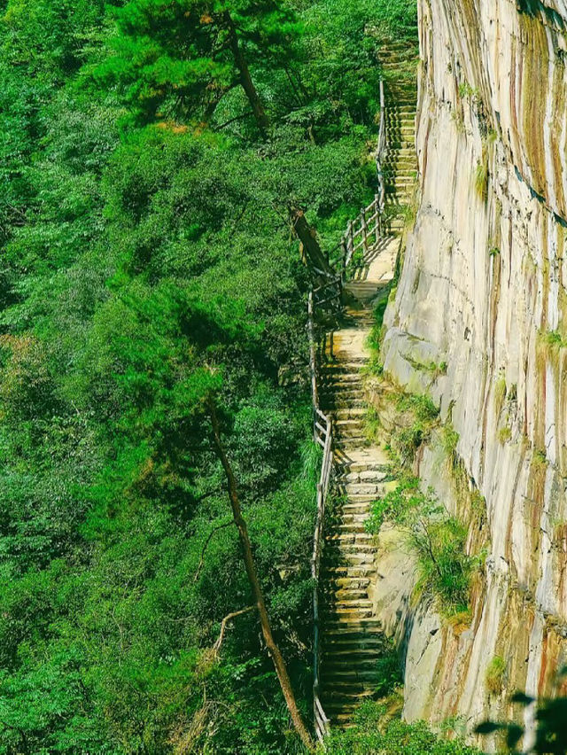 Floating Mountains and Hidden Paths: A Day in Zhangjiajie