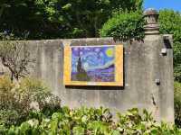 Van Goah's footsteps in Provence, France