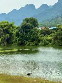 Ninh Binh’s Wetland Zen – The Road Less Traveled