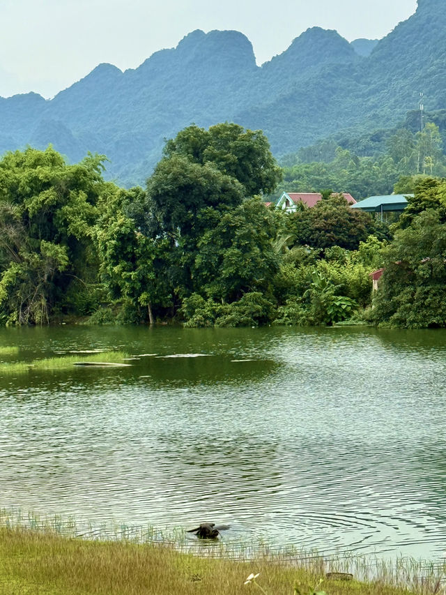 Ninh Binh’s Wetland Zen – The Road Less Traveled