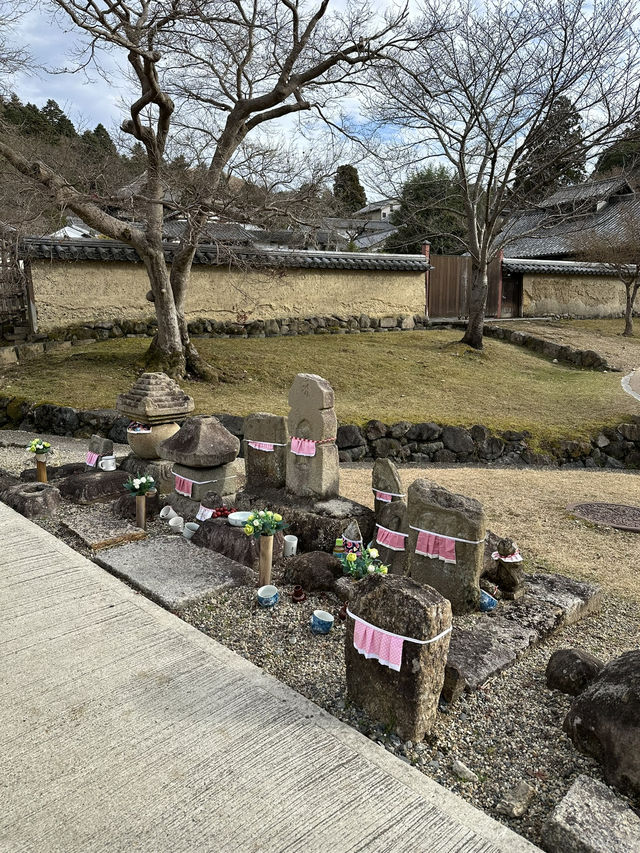 Japan Trip: Get ready to discover the ancient vibes of Nara!