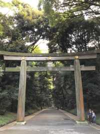 Tokyo on a Budget: Sushi, Shrines & Street Life